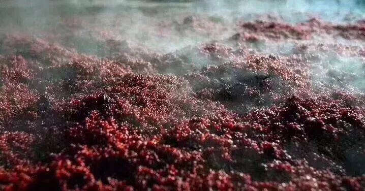 1720171207128185.jpg 1720171207128185.jpg