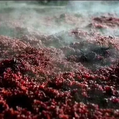 1767084677540500.png 1767084677540500.png