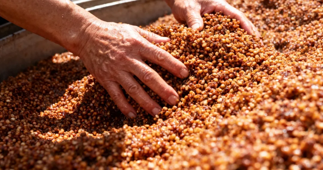 1768037549122471.png 1768037549122471.png